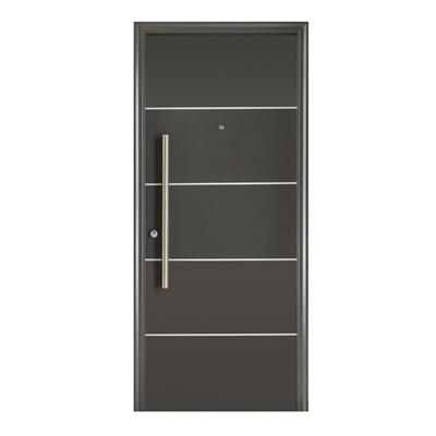Puerta Oblak Premium Primma Plus Grafito Marco de Chapa 90 Derecha