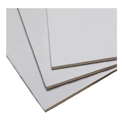 Placa Desmontable Lisa S/Pintar 8Mm 0,60X1,20 95-410010
